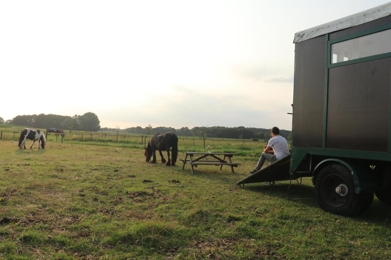 מלון אסן Slapen Tussen De Paarden מראה חיצוני תמונה